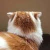 WarmDailyStory