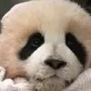 浮生遇晚风