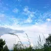 StressFreeLiving