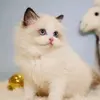 悠然随风走