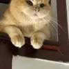 浮生伴清风