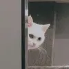 随心渡余生